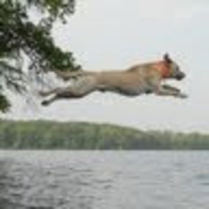 Meet your Posher, Lee